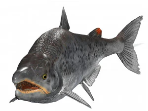 SALMONE SALMONE DINOSAURO DINOSAURO DINOSAURO SCARICA SALMONE MODELLO 3D RAPTOR MALVAGIO TERRORE DIAVOLO DELL'ACQUA 3D Modello 3D