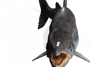 SALMON SALMON DINOSAUR DINOSAUR DINOSAUR DOWNLOAD SALMON 3D MODEL RAPTOR EVIL TERROR WATER DEVIL 3D 3D Model