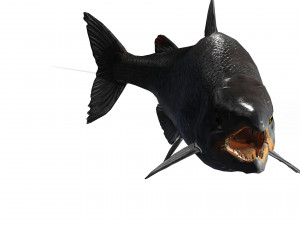 SALMON SALMON DINOSAUR DINOSAUR DINOSAUR DOWNLOAD SALMON 3D MODEL RAPTOR EVIL TERROR WATER DEVIL 3D 3D Model