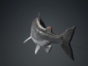 SALMON SALMON DINOSAUR DINOSAUR DINOSAUR DOWNLOAD SALMON 3D MODEL RAPTOR EVIL TERROR WATER DEVIL 3D 3D Model