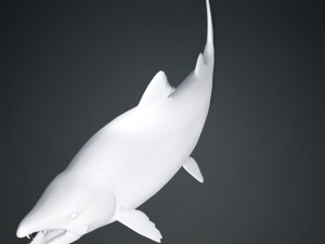 SALMON SALMON DINOSAUR DINOSAUR DINOSAUR DOWNLOAD SALMON 3D MODEL RAPTOR EVIL TERROR WATER DEVIL 3D 3D Model