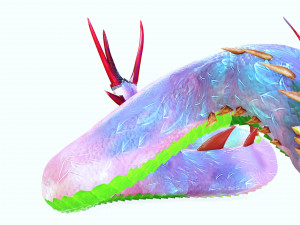 DOWNLOAD BASILIK 3D MODEL ANIMAL PYTHON BASILIK FANTASY DINOSAUR RAPTOR SNAKE DEMON DEVIL REPTILE 3D Model