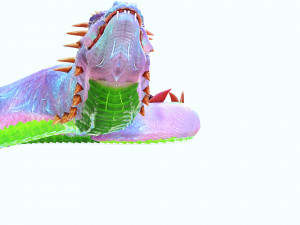 DOWNLOAD BASILIK 3D MODEL ANIMAL PYTHON BASILIK FANTASY DINOSAUR RAPTOR SNAKE DEMON DEVIL REPTILE 3D Model