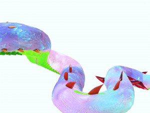 DOWNLOAD BASILIK 3D MODEL ANIMAL PYTHON BASILIK FANTASY DINOSAUR RAPTOR SNAKE DEMON DEVIL REPTILE 3D Model
