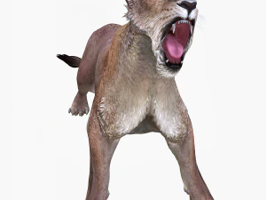 SCARICA MODELLO 3D LEONESSA LEONE - LEONESSA - GATTO - PREDATORE - RAPTOR - CACCIATORE DI FELINI KILLER Leone Modello 3D