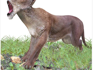 SCARICA MODELLO 3D LEONESSA LEONE - LEONESSA - GATTO - PREDATORE - RAPTOR - CACCIATORE DI FELINI KILLER Leone Modello 3D