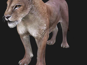 SCARICA MODELLO 3D LEONESSA LEONE - LEONESSA - GATTO - PREDATORE - RAPTOR - CACCIATORE DI FELINI KILLER Leone Modello 3D