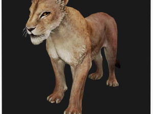SCARICA MODELLO 3D LEONESSA LEONE - LEONESSA - GATTO - PREDATORE - RAPTOR - CACCIATORE DI FELINI KILLER Leone Modello 3D