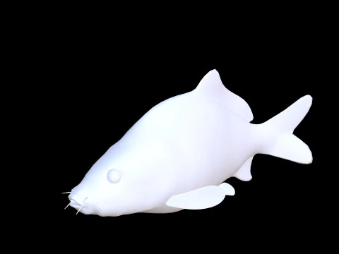 잉어 애니메이션 물고기 3D 애니메이션 잉어 물 강 바다 바다 낚시 동물 3D 모델