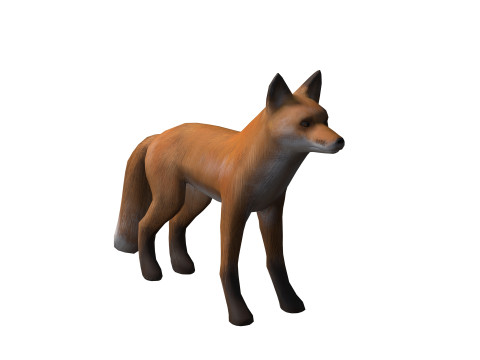 FOX ANATOMY 3D MODEL SKELETON SKULL HEAD MUSCLE FOX FOREST GRASS Modello 3D