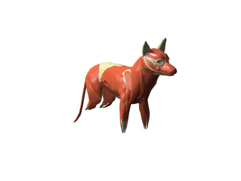 ANATOMIA DELLA VOLPE MODELLO 3D SCHELETRO CRANIO TESTA MUSCOLO VOLPE FORESTA ERBA Modello 3D