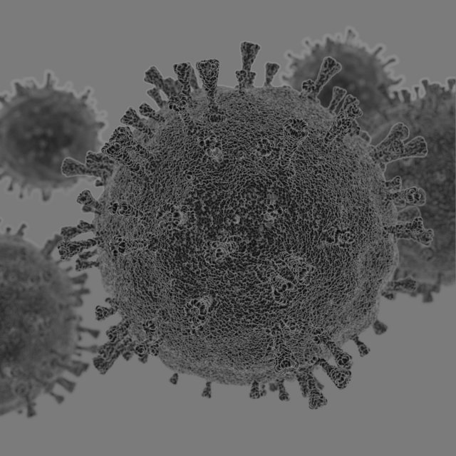 coronavirus covid-19 3ds max 3D Model .c4d .max .obj .3ds .fbx .stl .blend 