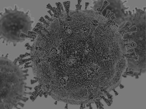 coronavirus covid-19 3ds max 3D Model