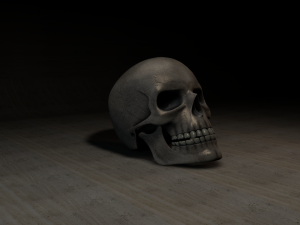skull 3D Модель