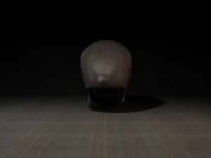 skull 3D Model