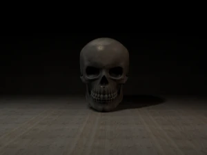 skull 3D Model