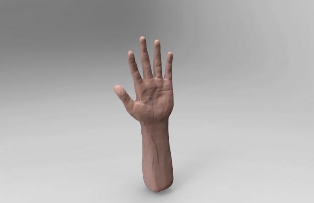 hand Model 3D .c4d .max .obj .3ds .fbx .stl .blend 