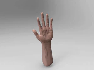 Hand 3D Modell