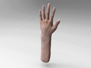 hand Model 3D