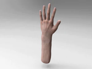 Hand 3D Modell