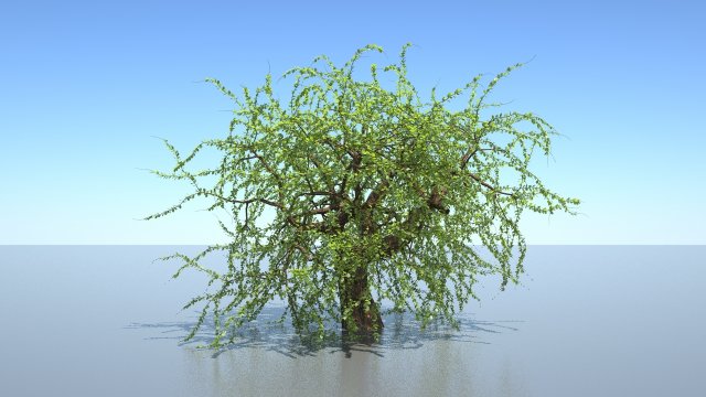 tree 3Dモデル .c4d .max .obj .3ds .fbx .stl .blend 