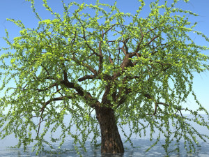 tree 3Dモデル