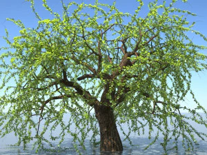 tree 3D Model