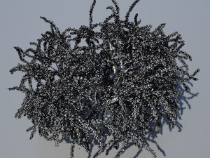 tree 3Dモデル