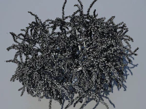tree 3D Model