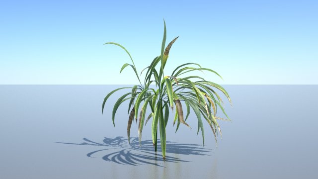 spiderplant Model 3D .c4d .max .obj .3ds .fbx .stl .blend 