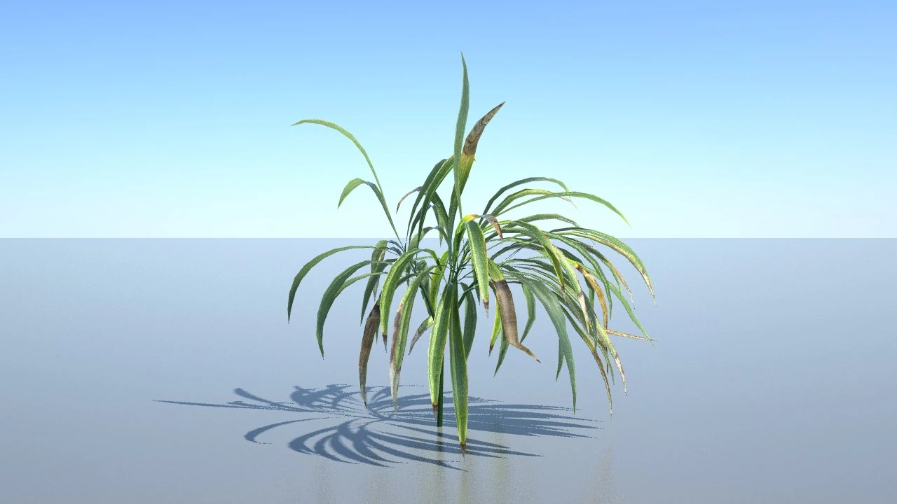 spiderplant 3D Model .c4d .max .obj .3ds .fbx .stl .blend 
