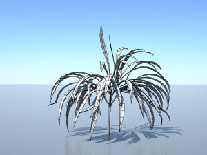 spiderplant Model 3D