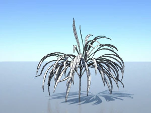 spiderplant 3D Model