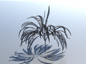 spiderplant Model 3D