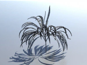spiderplant 3D Model
