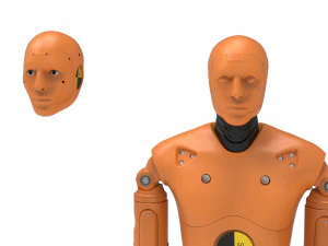 Crash Test Dummy Robot Android 2022 vs hand 3D Model