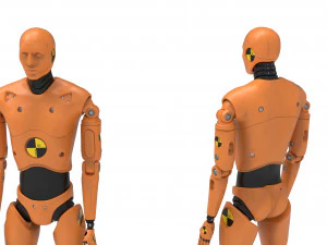 Crash Test Dummy Robot Android 2022 vs hand 3D Model