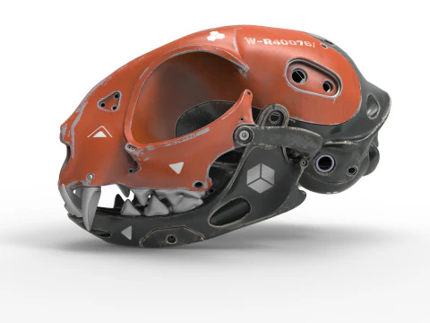 Model Cyborg Cat Skull 3D Model