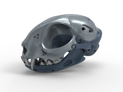 Model Cyborg Cat Skull 3D 모델
