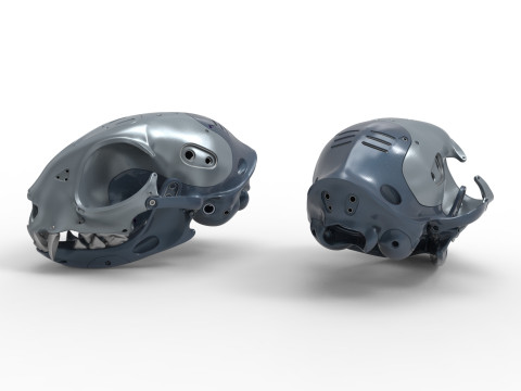 Model Cyborg Cat Skull 3D 모델