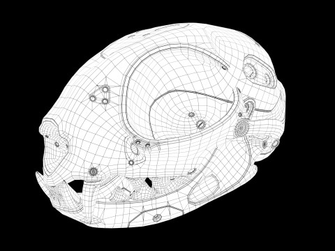 Model Cyborg Cat Skull 3D 모델