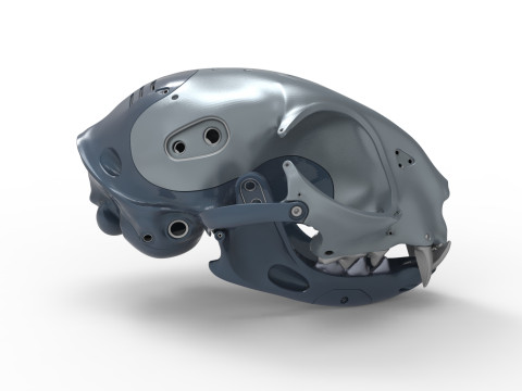 Model Cyborg Cat Skull 3D 모델