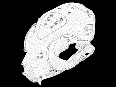 Model Cyborg Cat Skull 3D Model