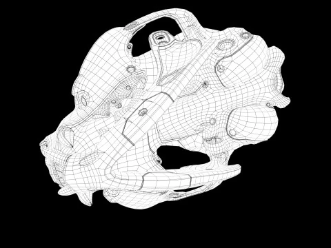 Model Cyborg Cat Skull 3D Model