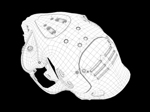 Model Cyborg Cat Skull 3D 모델