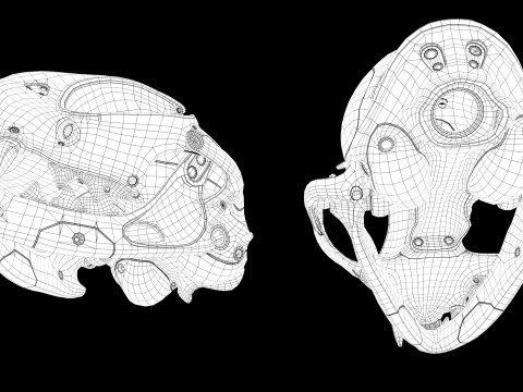 Model Cyborg Cat Skull 3D 모델