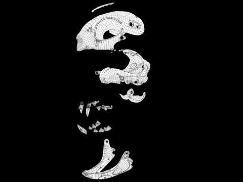 Model Cyborg Cat Skull 3D Model