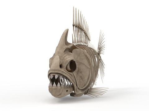 Piranha fish skeleton 3D-Modell