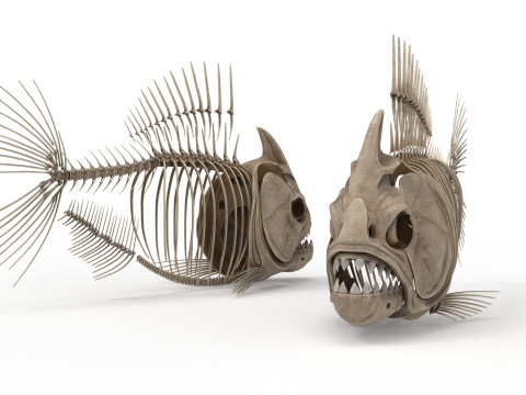 Piranha fish skeleton 3D-Modell