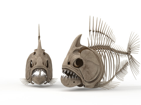 Piranha fish skeleton 3D-Modell